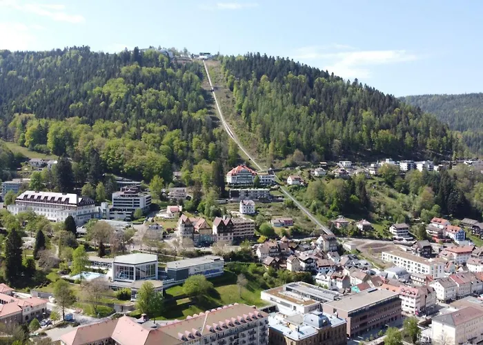 Restaurant Auerhahn Отель *